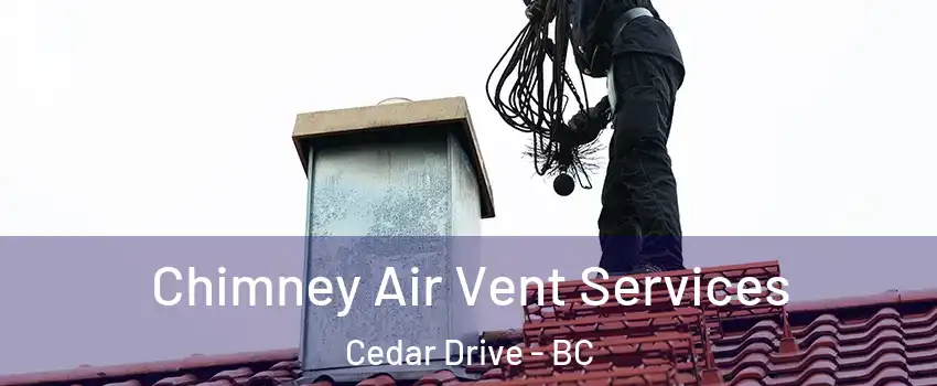  Chimney Air Vent Services Cedar Drive - BC