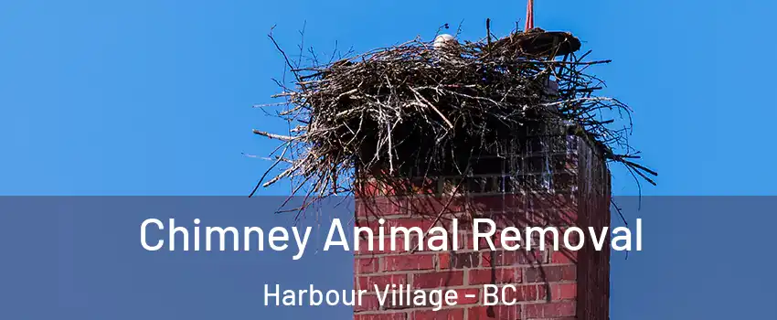 Chimney Animal Removal Harbour Village - BC
