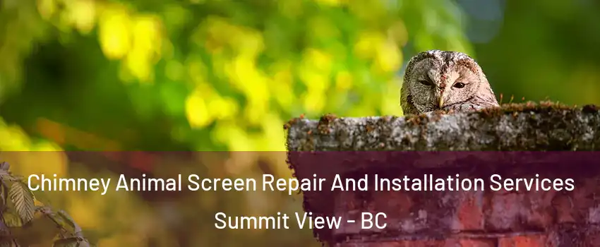  Chimney Animal Screen Repair And Installation Services Summit View - BC