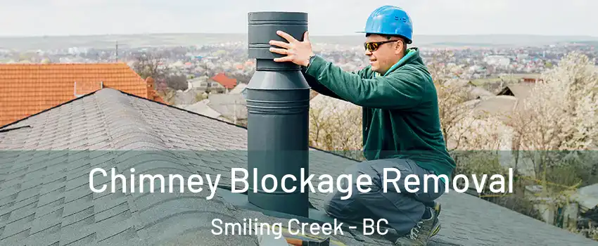  Chimney Blockage Removal Smiling Creek - BC