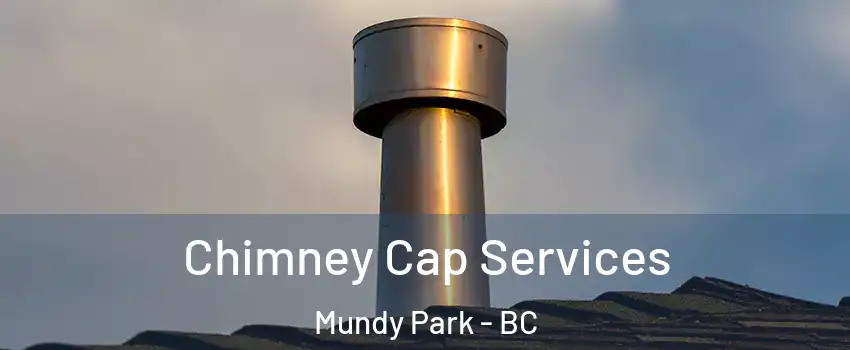  Chimney Cap Services Mundy Park - BC