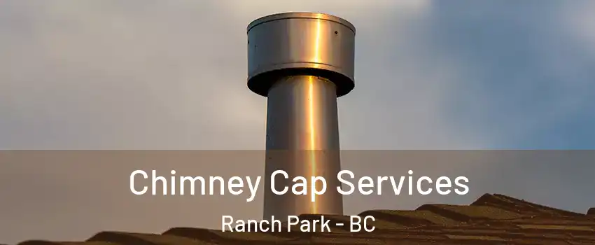  Chimney Cap Services Ranch Park - BC