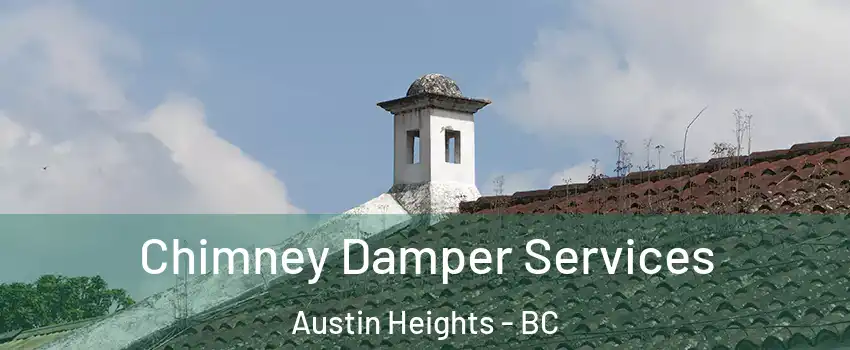  Chimney Damper Services Austin Heights - BC