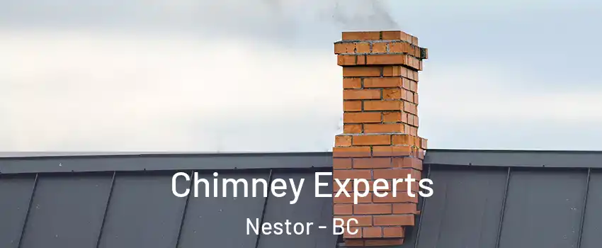 Chimney Experts Nestor - BC