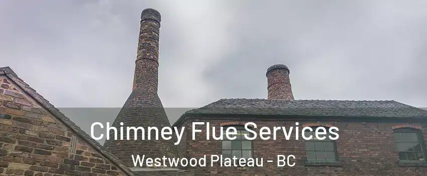  Chimney Flue Services Westwood Plateau - BC
