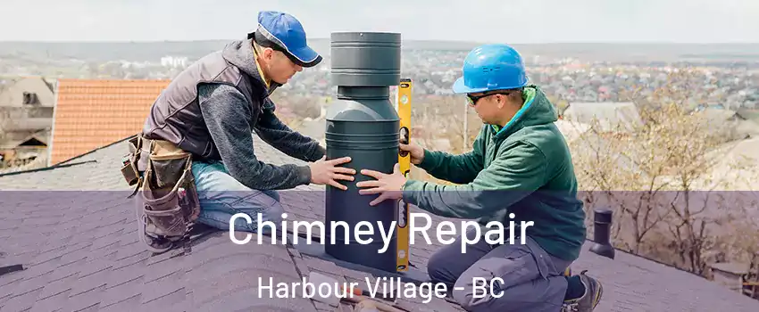  Chimney Repair Harbour Village - BC
