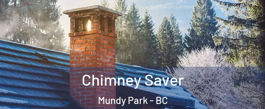  Chimney Saver Mundy Park - BC