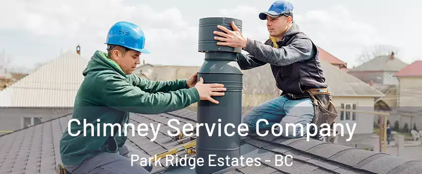  Chimney Service Company Park Ridge Estates - BC