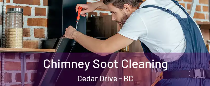  Chimney Soot Cleaning Cedar Drive - BC