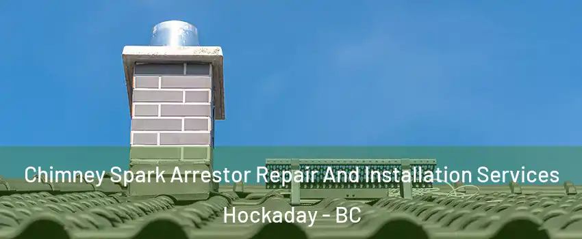  Chimney Spark Arrestor Repair And Installation Services Hockaday - BC