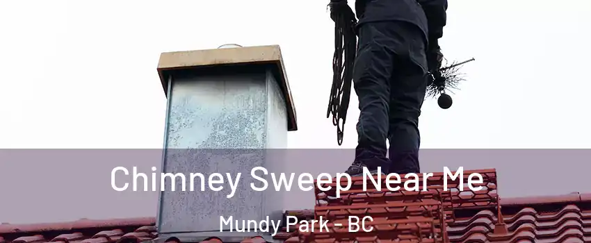  Chimney Sweep Near Me Mundy Park - BC