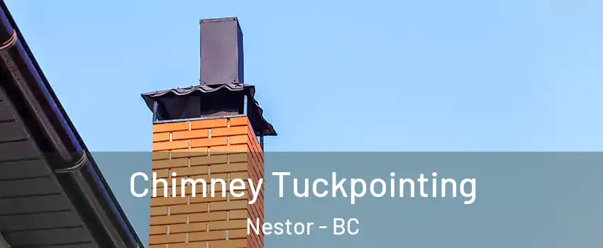  Chimney Tuckpointing Nestor - BC