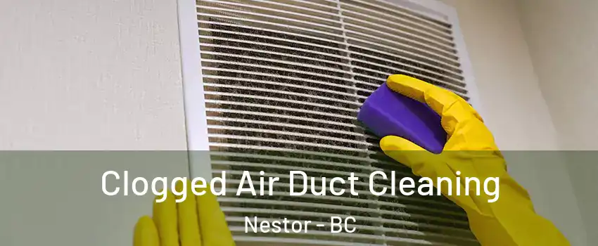  Clogged Air Duct Cleaning Nestor - BC