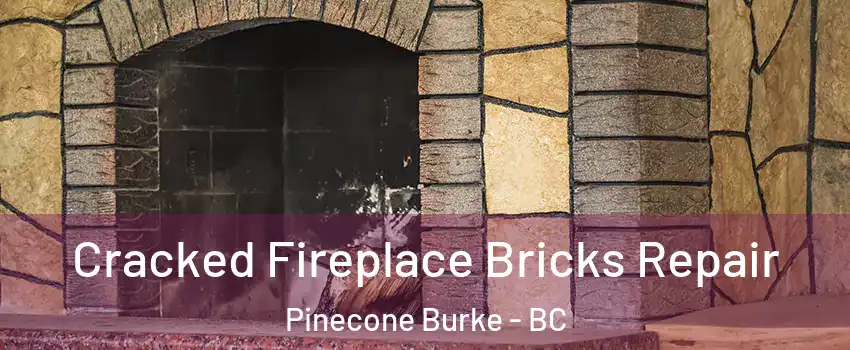  Cracked Fireplace Bricks Repair Pinecone Burke - BC