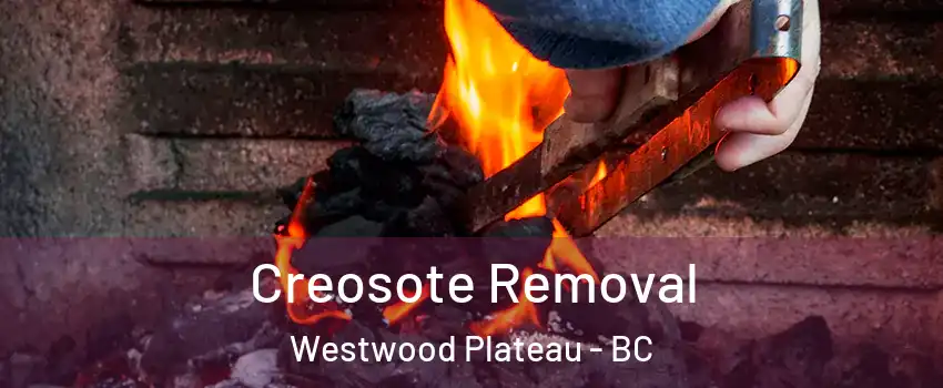  Creosote Removal Westwood Plateau - BC