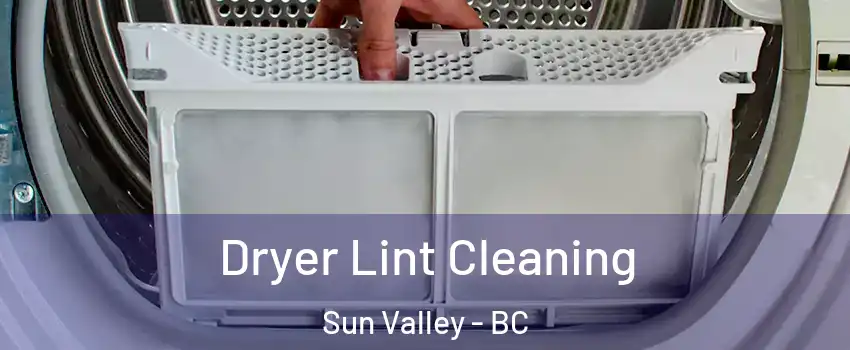  Dryer Lint Cleaning Sun Valley - BC