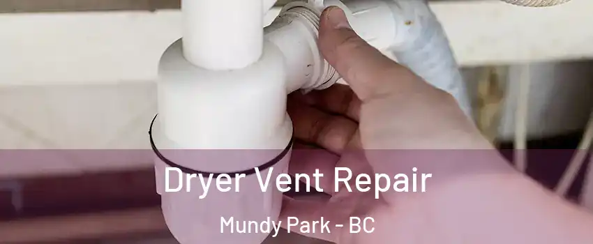  Dryer Vent Repair Mundy Park - BC