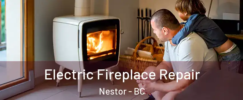  Electric Fireplace Repair Nestor - BC