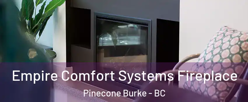  Empire Comfort Systems Fireplace Pinecone Burke - BC