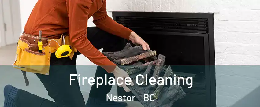  Fireplace Cleaning Nestor - BC
