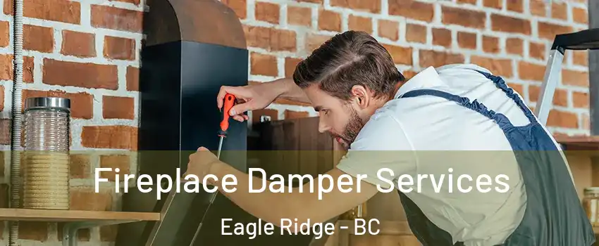  Fireplace Damper Services Eagle Ridge - BC