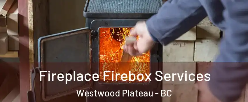  Fireplace Firebox Services Westwood Plateau - BC