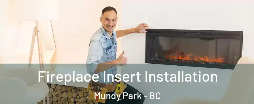  Fireplace Insert Installation Mundy Park - BC