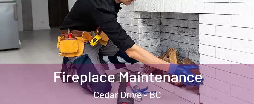  Fireplace Maintenance Cedar Drive - BC