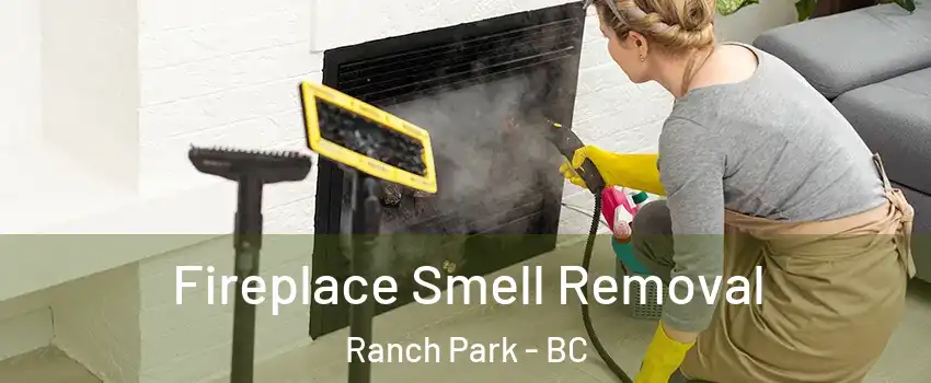  Fireplace Smell Removal Ranch Park - BC