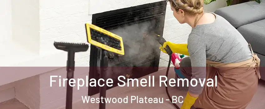  Fireplace Smell Removal Westwood Plateau - BC