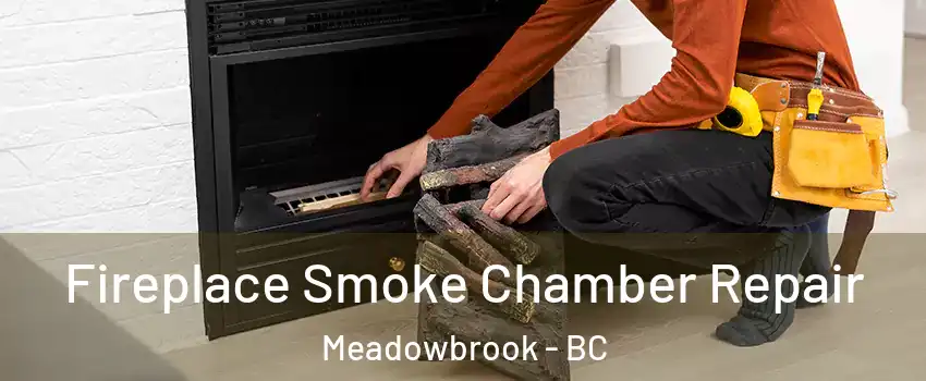  Fireplace Smoke Chamber Repair Meadowbrook - BC