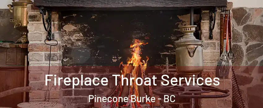  Fireplace Throat Services Pinecone Burke - BC