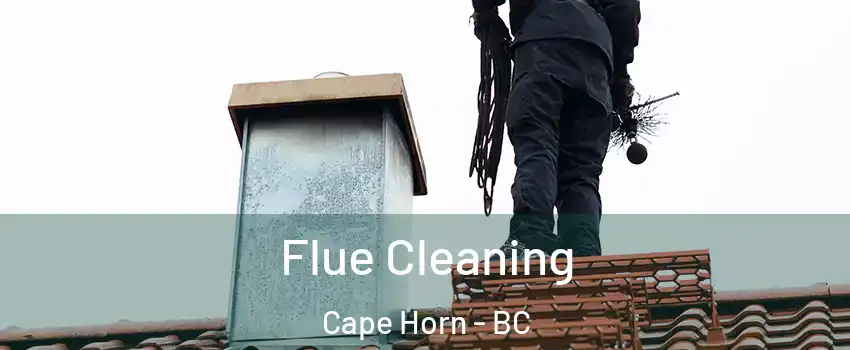  Flue Cleaning Cape Horn - BC