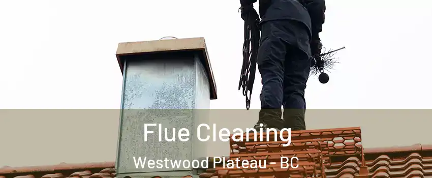  Flue Cleaning Westwood Plateau - BC