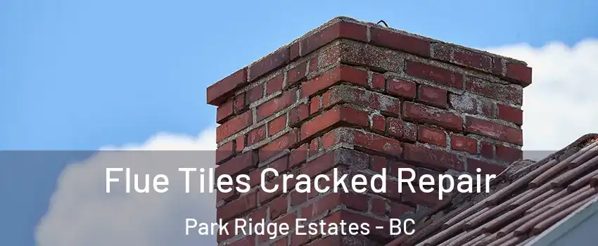  Flue Tiles Cracked Repair Park Ridge Estates - BC