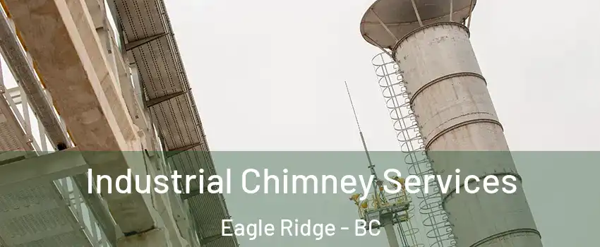  Industrial Chimney Services Eagle Ridge - BC