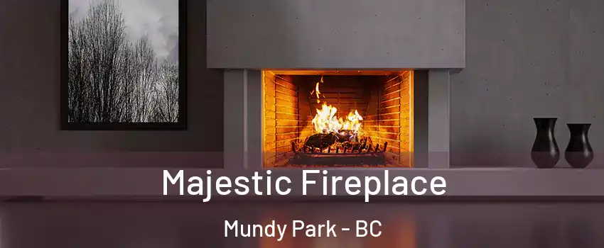  Majestic Fireplace Mundy Park - BC