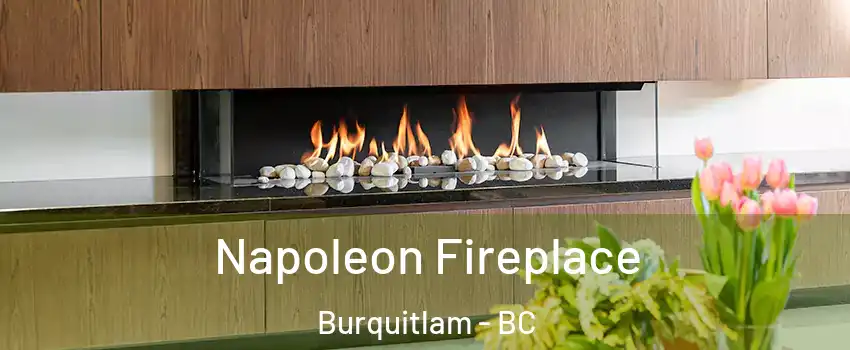  Napoleon Fireplace Burquitlam - BC