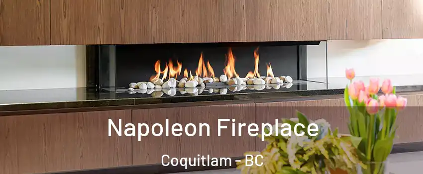  Napoleon Fireplace Coquitlam - BC