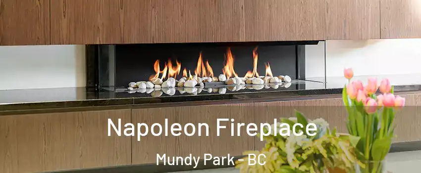  Napoleon Fireplace Mundy Park - BC