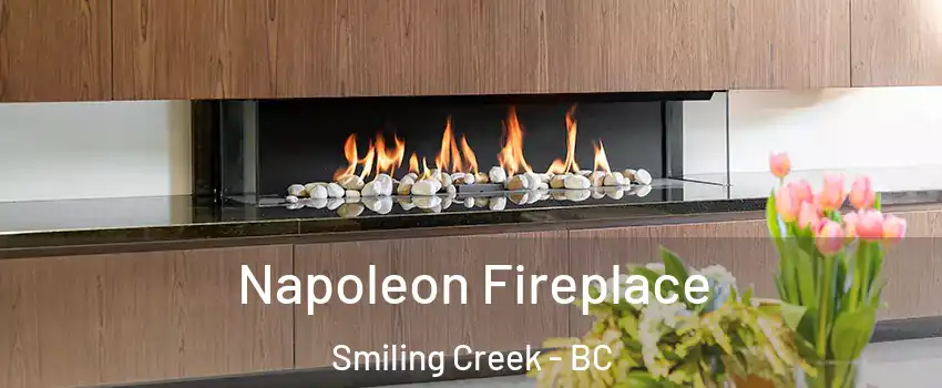  Napoleon Fireplace Smiling Creek - BC