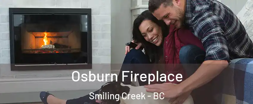  Osburn Fireplace Smiling Creek - BC