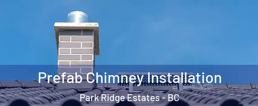 Prefab Chimney Installation Park Ridge Estates - BC