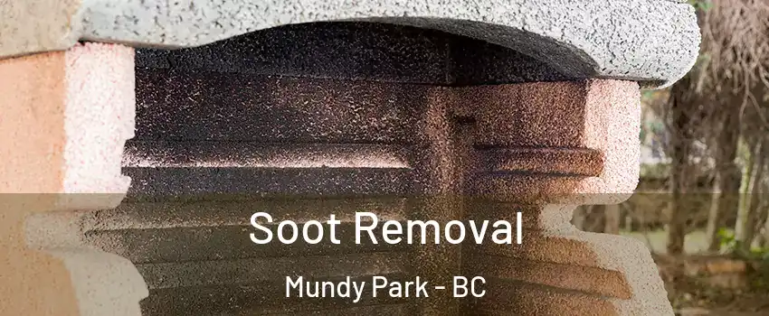  Soot Removal Mundy Park - BC