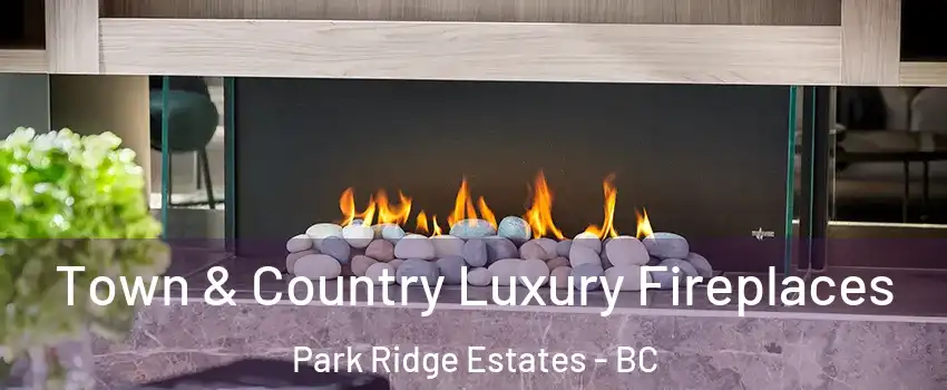  Town & Country Luxury Fireplaces Park Ridge Estates - BC